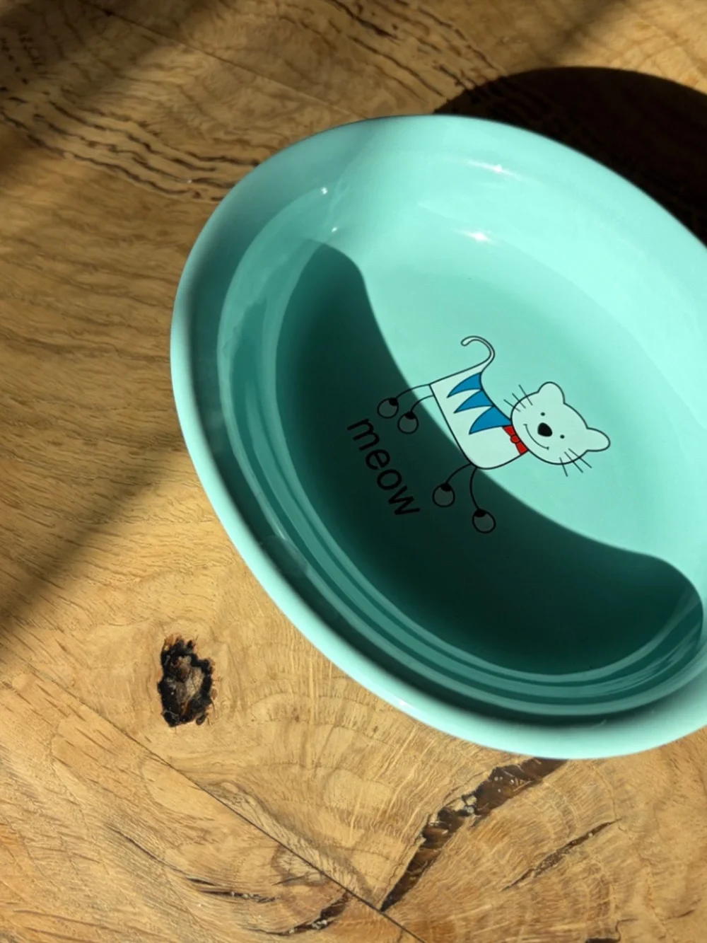 🐱 Whisker City “Meow” Cat Dish Bowl | Aqua Blue Ceramic Pet Bowl 🩵💚